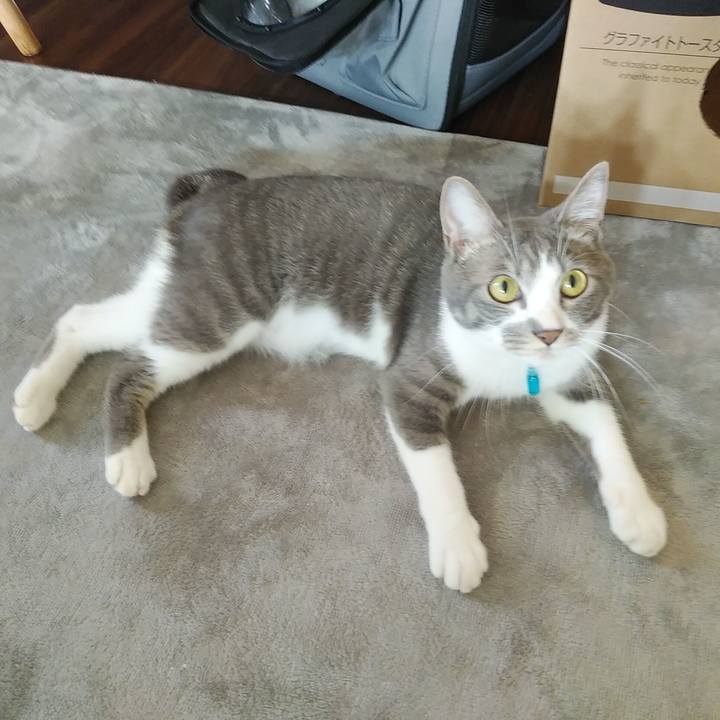 610a21db 552c 4843 856d b250e25bd0f4 1591138264630