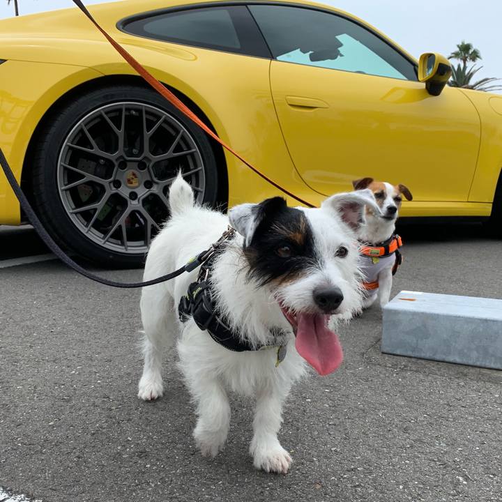 610aa9c8 133e 4a96 9103 8fe984b36d5c 1563676188387