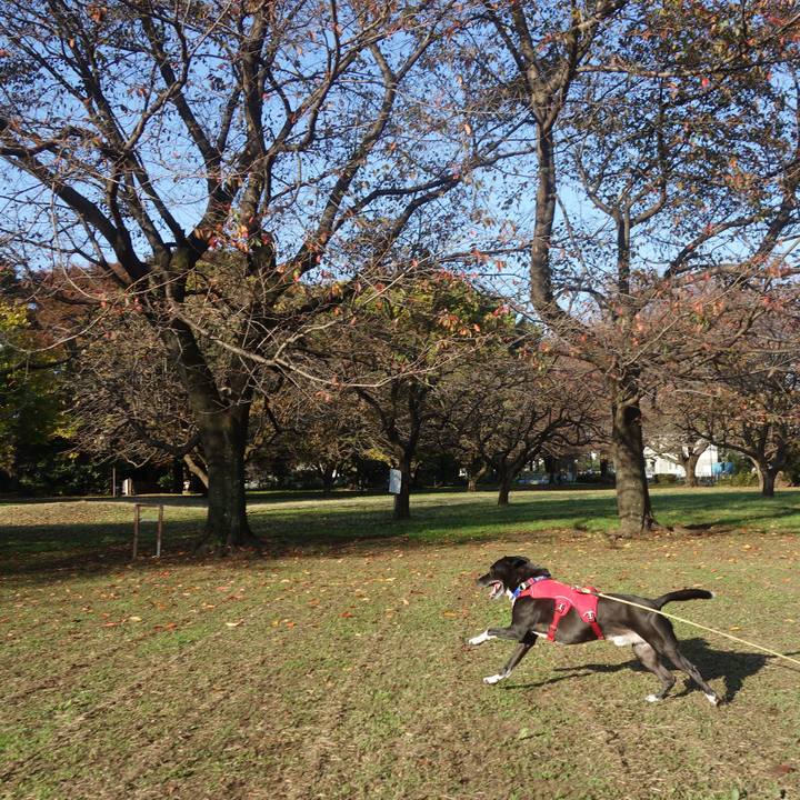 610abb88 22eb 45e4 9c45 8fb6f734afaf 1668127263995