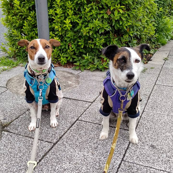 610aed75 7995 49a2 b45e 39af49956f28 1655330995628