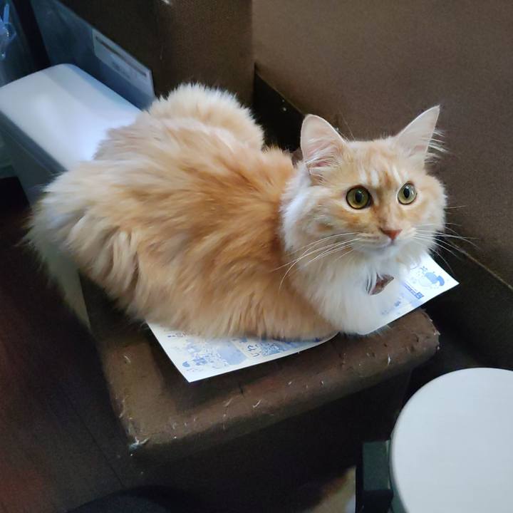 610af00d cba1 491a 9af8 202e48433105 1690945877926