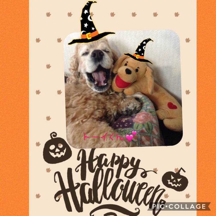 610b0131 2f7b 42ff b764 db59b7b58c00 1572228402398