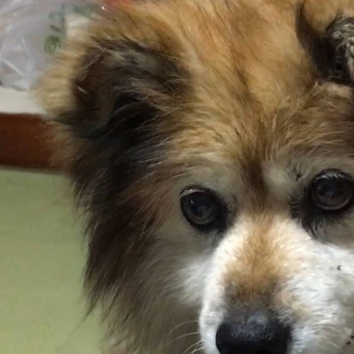 610b017c 261b 439b 8be8 178f20fbea7c 1593980136954