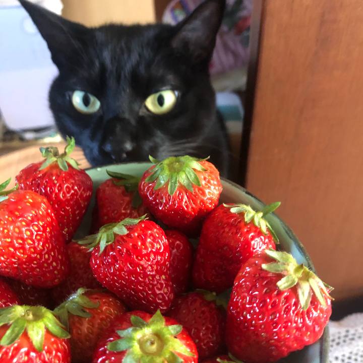 610b0fb3 d243 40b6 9f79 d3af99372f6c 1618184227552