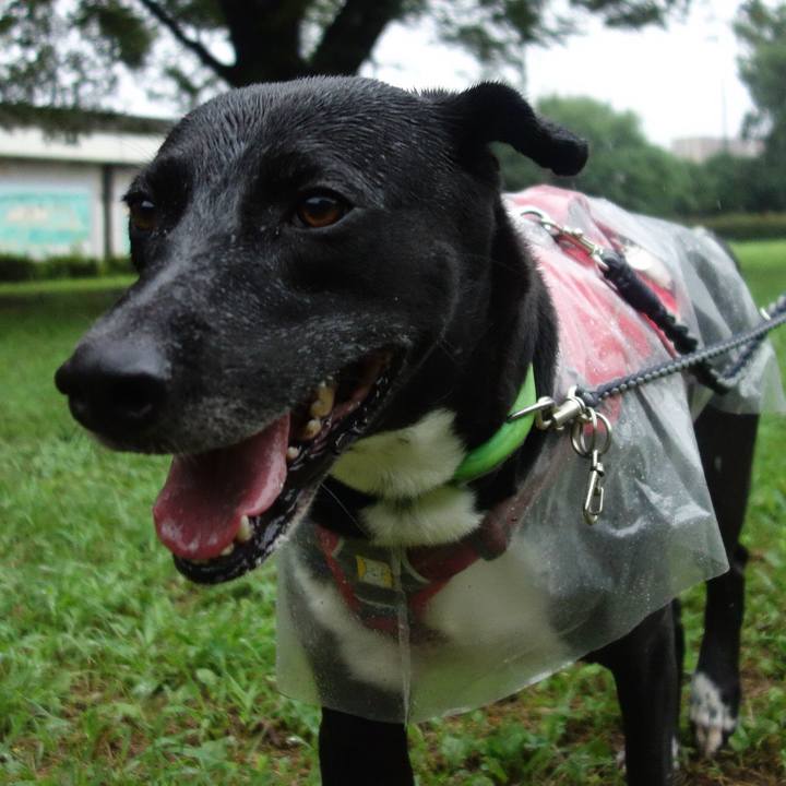 610b2f71 0c63 4222 940c 86f7f2d3a9e2 1628381499909