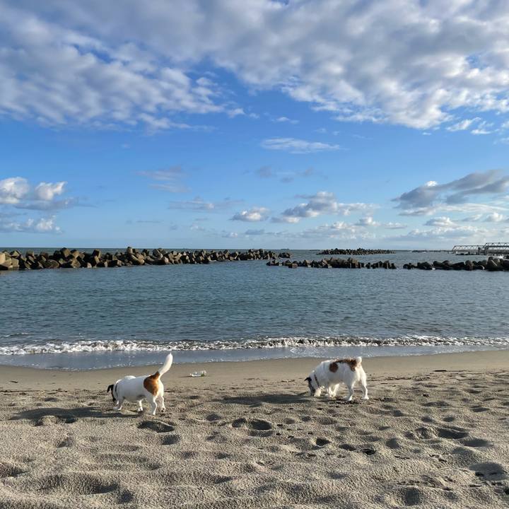 610b321c 172b 406a 9b94 261650ec99be 1758846209494