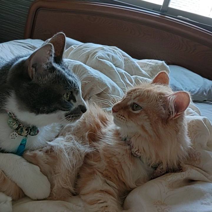 610b65ed 6044 4a05 aa49 8eb244939e22 1694316279366