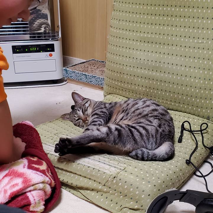 610b801f 7e7f 4540 9217 7069d627c19e 1697095878162