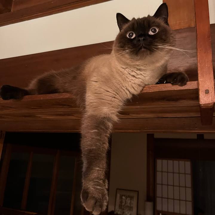 610bb343 1e84 4329 b8dd 3a523a99d5aa 1670240862345