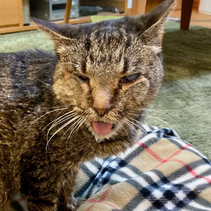 610bb952 3d34 47e1 9a9d 21323bc71f50 1687919611258