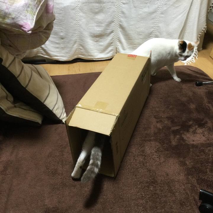 610bc48d c491 462a bd35 496c627a8cd1 1609729389508