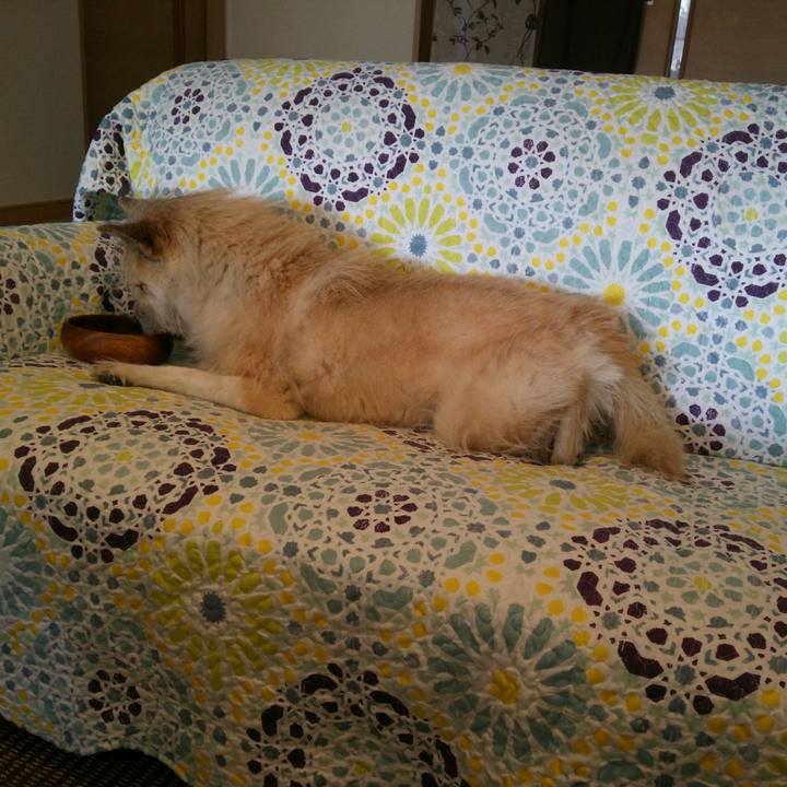 610be048 de26 4e72 8a09 bb4295ee50dc 1514956506120