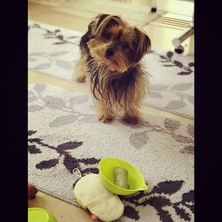 610c099e e7c7 4c27 b45a 7178a9154911 1517899573506