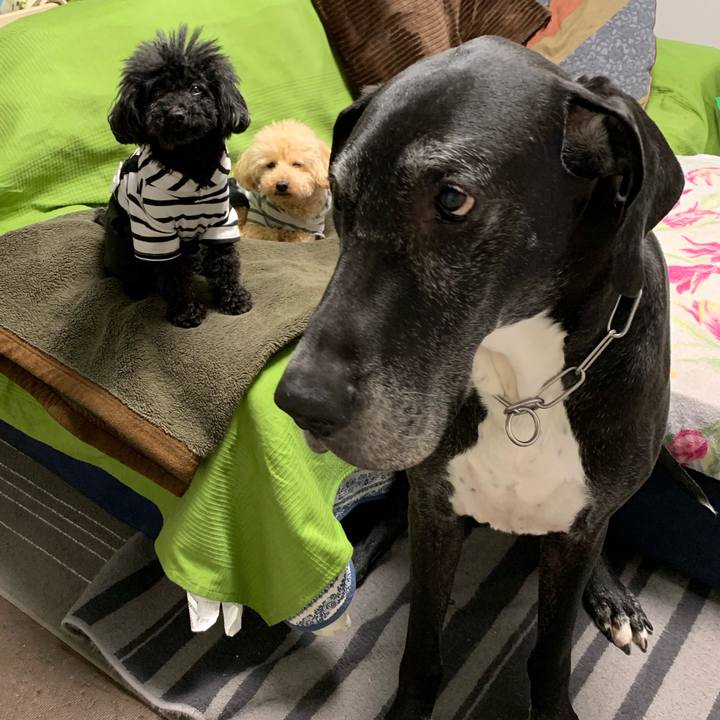 610c10c5 4b72 4836 82a9 ca1c68456a2d 1551307596565