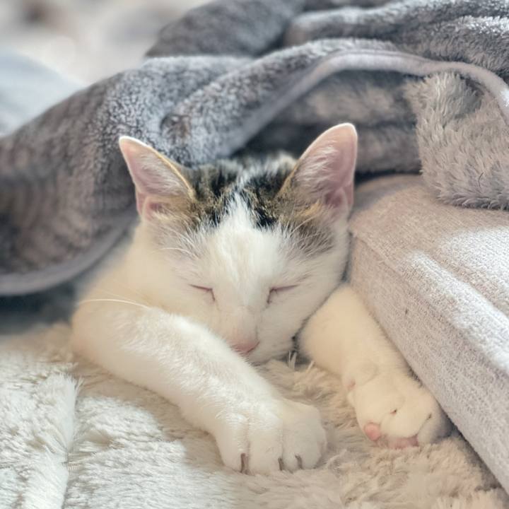 610c2022 509a 412e 95d7 0d9d7dcbde6a 1639923898290