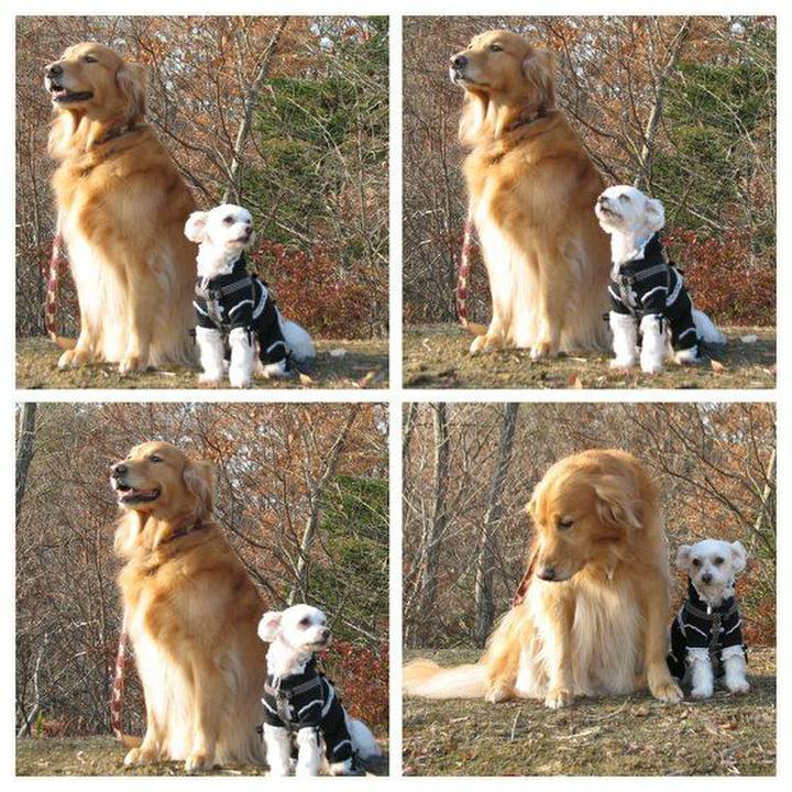 610cba88 c8ef 4a83 b52b 8c1237a996d1 1517233581024