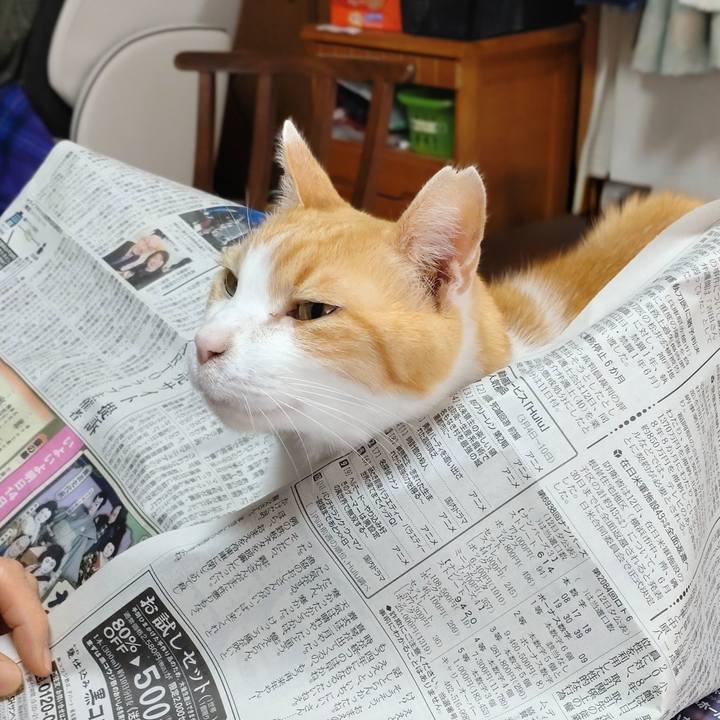 610ccb5a f53f 4221 bf3d 3692db2fdcc2 1773471787640