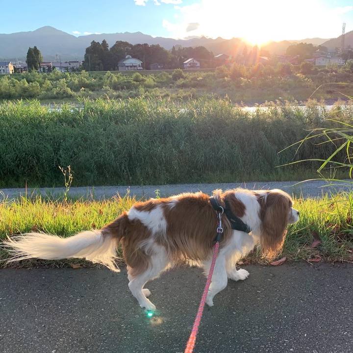 610ce303 19fe 4e9a 9b5e e18a1ee8b930 1599081945601