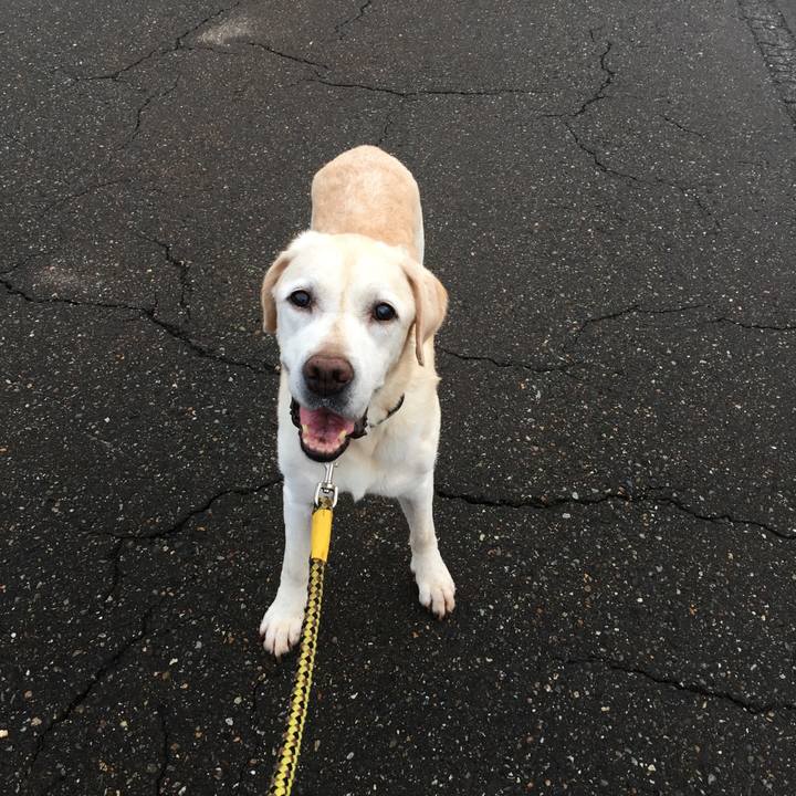 610cee0a 1e4a 4812 bdbc 40a89abe960a 1535491320154