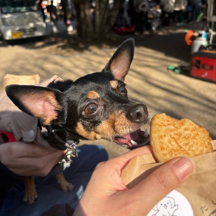 610d3623 50c7 48e2 99c8 0680a374013d 1768822441276