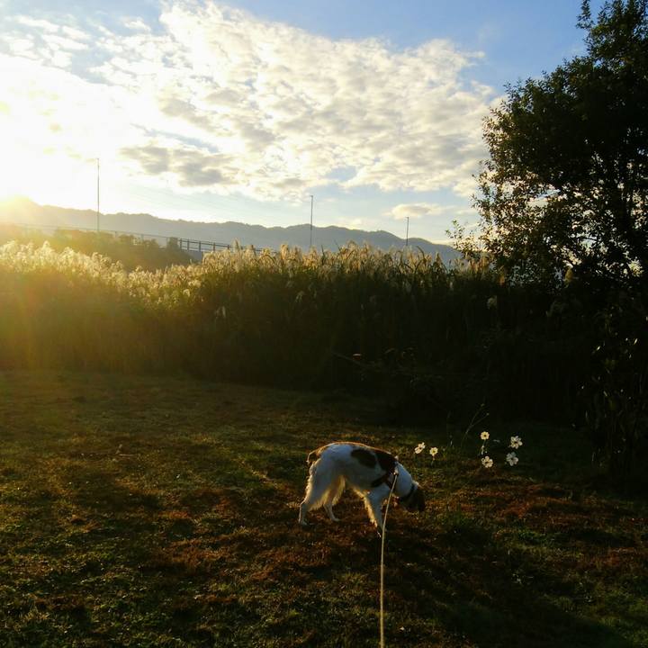 610d37f5 25f6 4b82 b0c2 93f2796d71ca 1541203005547