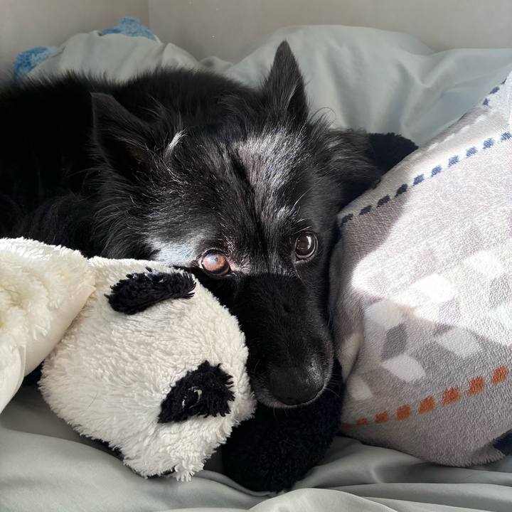 610d78fe 3fde 4d25 927d f933d8648bdd 1768434569743