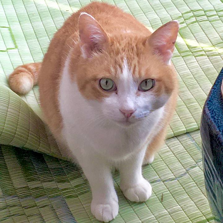 610d8add 7a14 4776 8f94 2ff003d8bd0d 1587096789779