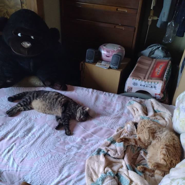 610d8f64 60f5 41bb ab3c f13e426fd0bb 1688628658204