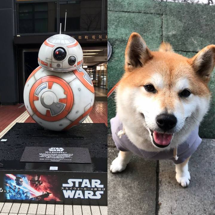 610d93e3 6ec4 43ed a05b 3017347b7fe5 1579355283165