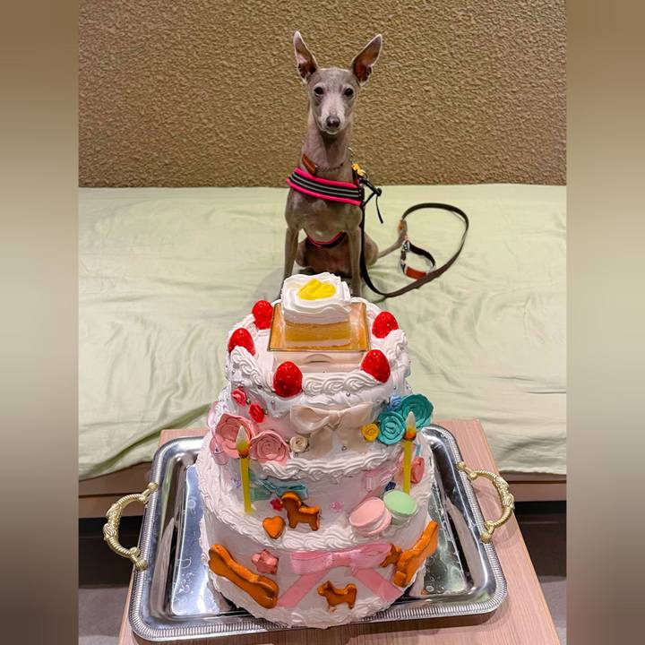 610da95c 99d5 4b71 baaf 73fb12192fcc 1758107065988