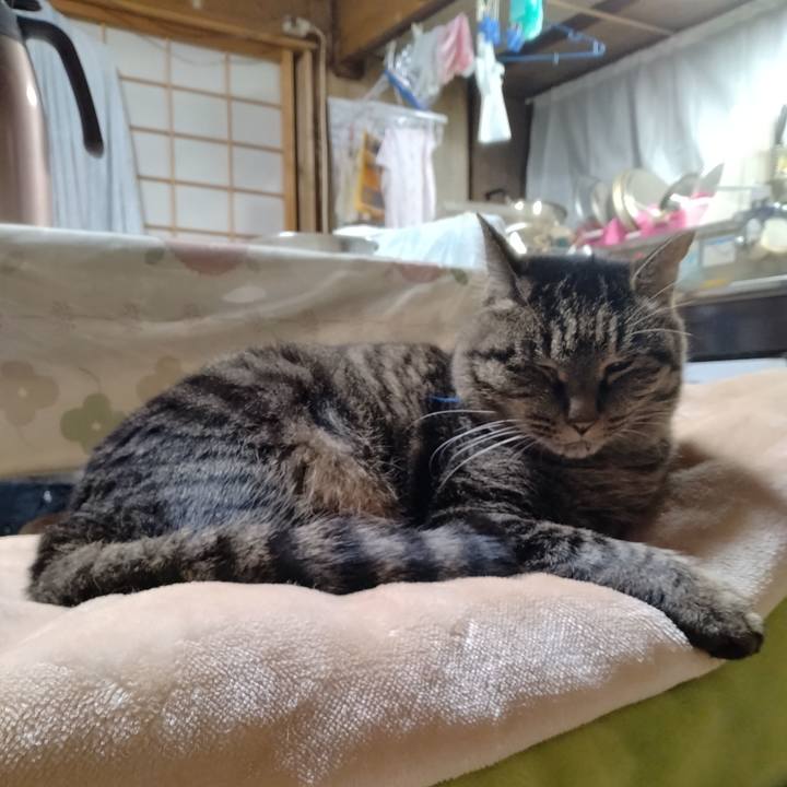 610db8f4 4ce5 466f bc6b 6821f9024454 1703497819148