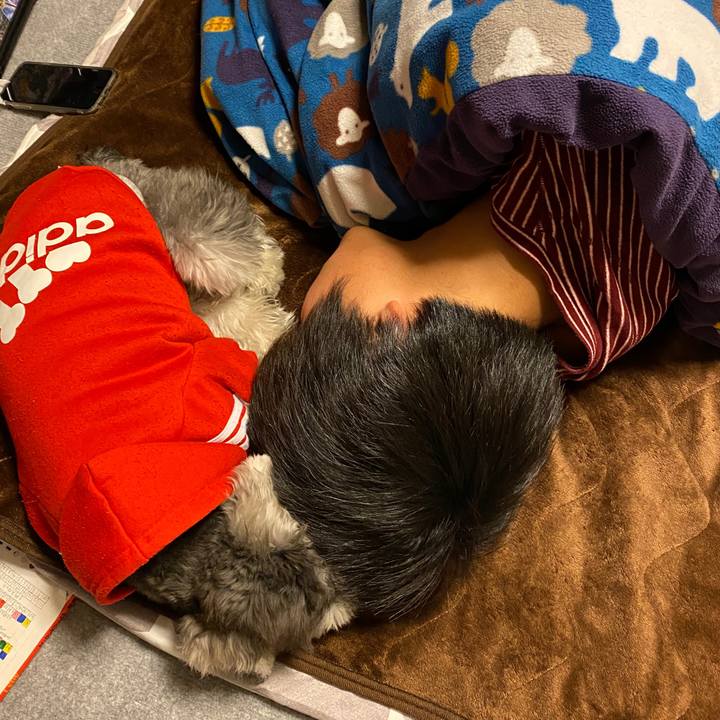 610ddc19 32d2 4c9c 8b9d 8b5c5f429999 1576345303226