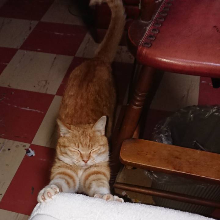 610e560e a9c0 4c04 a3bf 24e1ff5ef8b9 1586116197987