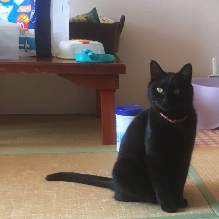 610e6ff5 f4e9 4cf6 a09f a168dd3e538d 1524372524709