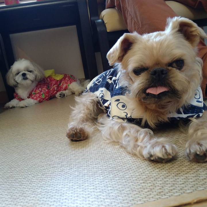 610e8795 7b77 447b 9b3b 1079738b7d24 1656806693542