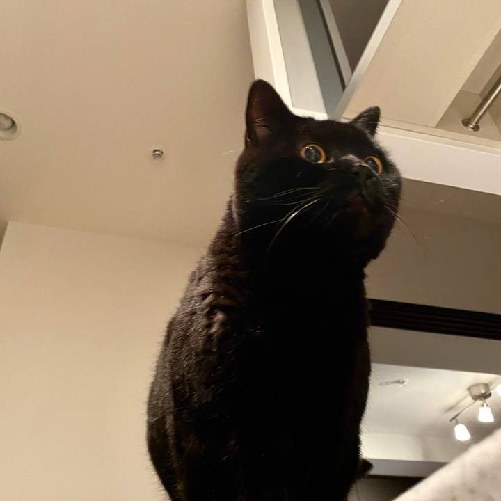 610eaee0 6cc2 4a50 bffb a97a1d0fd25a 1770896790191