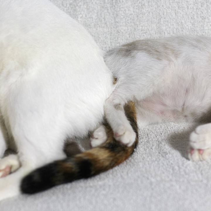 610ec468 6eda 49b9 adc2 c553896a190a 1599796439158