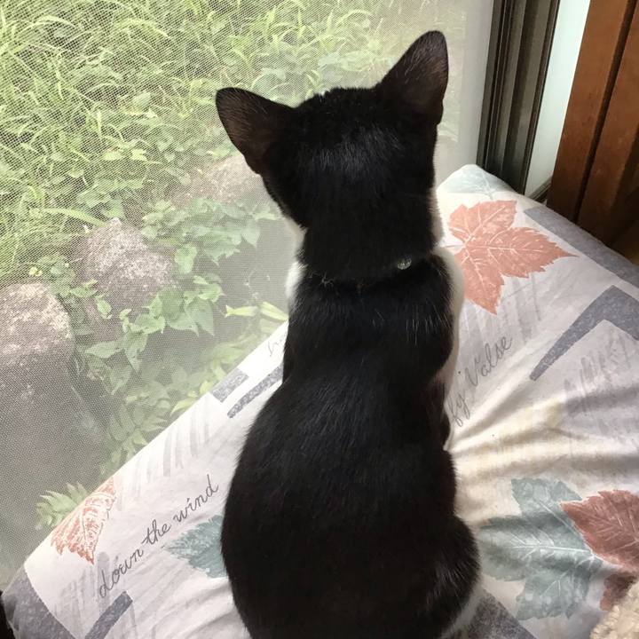 610ec679 1045 4f2d 8d2a 1d87d92b8fe1 1631787863963