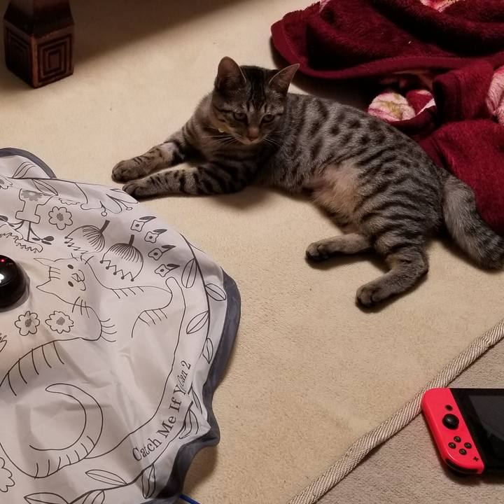 610ed185 10b3 4edf b4b0 f5295b22831b 1675261809041