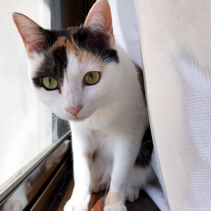 610ef2d0 f758 444f 98f5 d761a7152c3c 1529632954321