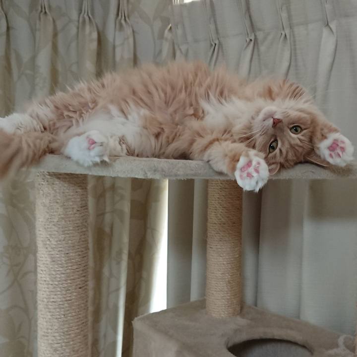 610f31ce 1972 4bdf b8f1 75c0a4c8ff5b 1577787141566