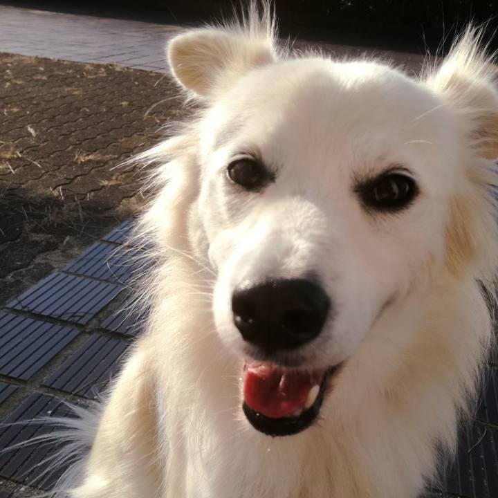 610f34e1 23cc 4b64 a261 30f70544a4d2 1509929708000