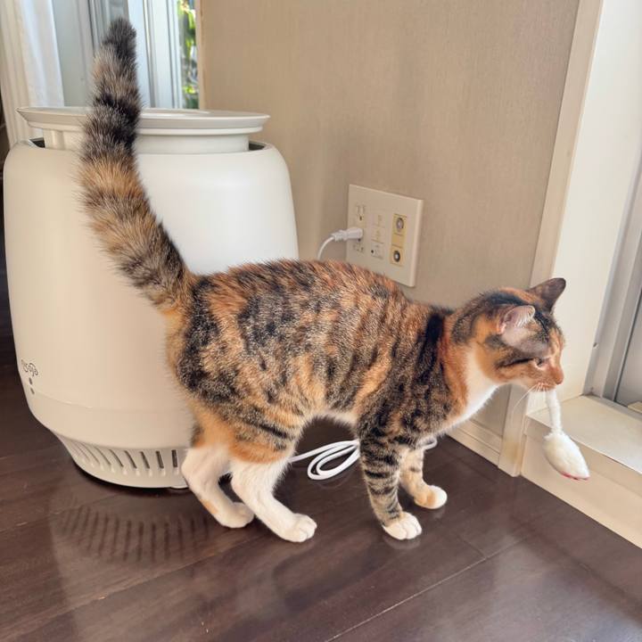 610f9e4f 3e1a 4e75 90c3 b07497e52123 1774561788260