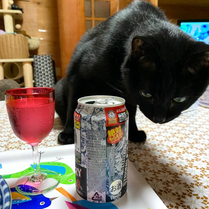 610fdbea 7eb2 4144 9781 cdd72ef9c517 1595498731472