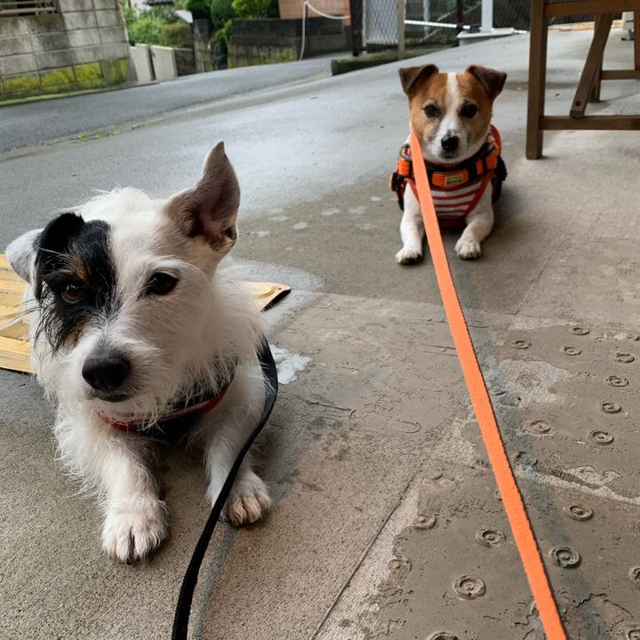 610ff5fd dcdb 443b af36 54b344cc4bda 1592815450402