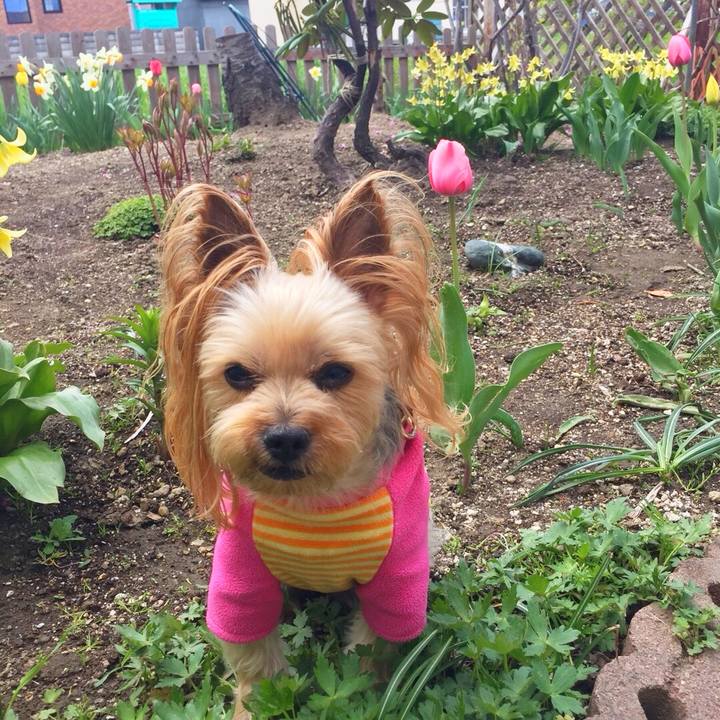 611021b5 204b 4105 80fa 10c3e63cd9fa 1525836582947