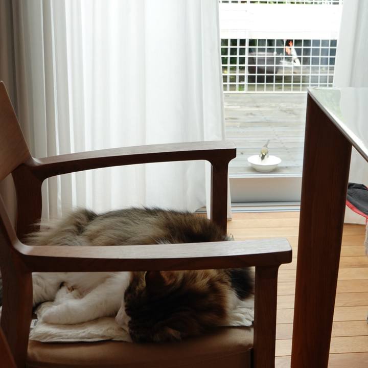 6110375b c629 4d1b bb6f 144b5aac51b7 1686376486804