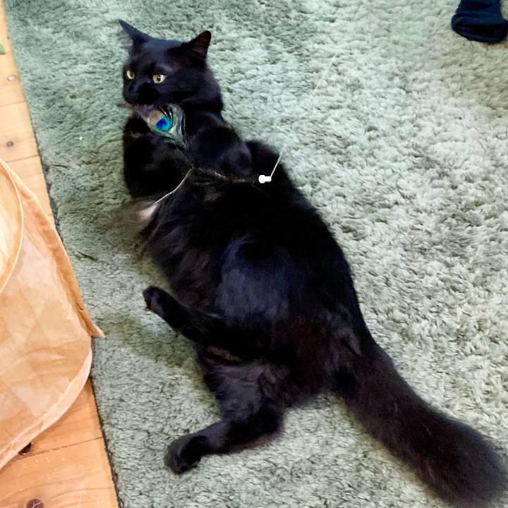 6110388e ade3 48d4 a255 3ec0e97e2452 1745205509557