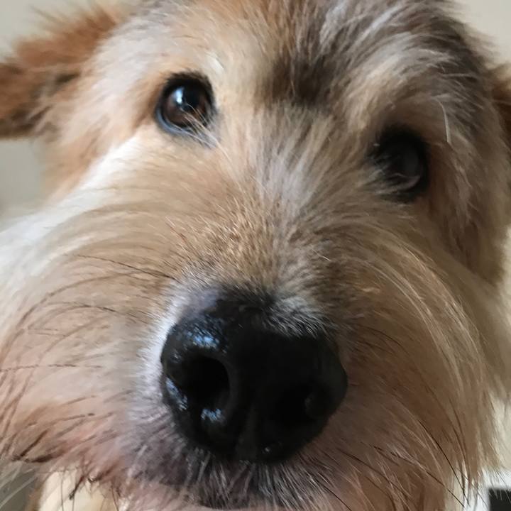 611041e0 a581 4293 bfe7 987733ede7b8 1597812020971