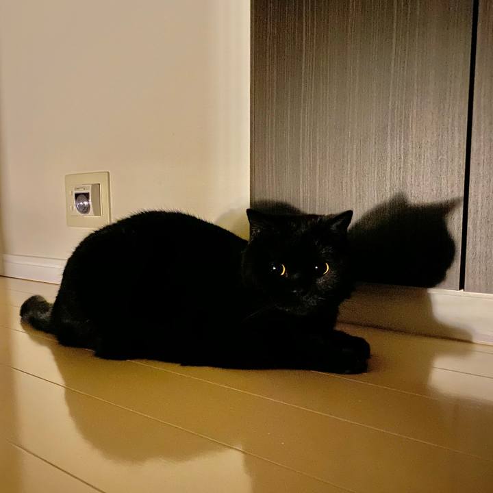 61104f21 bef6 47df b4e0 c0a2e2b633d0 1653052547143